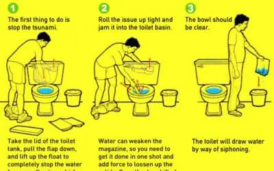 Which Is Better for My Toilet — 1 Ply or 2 Ply Toilet Paper?