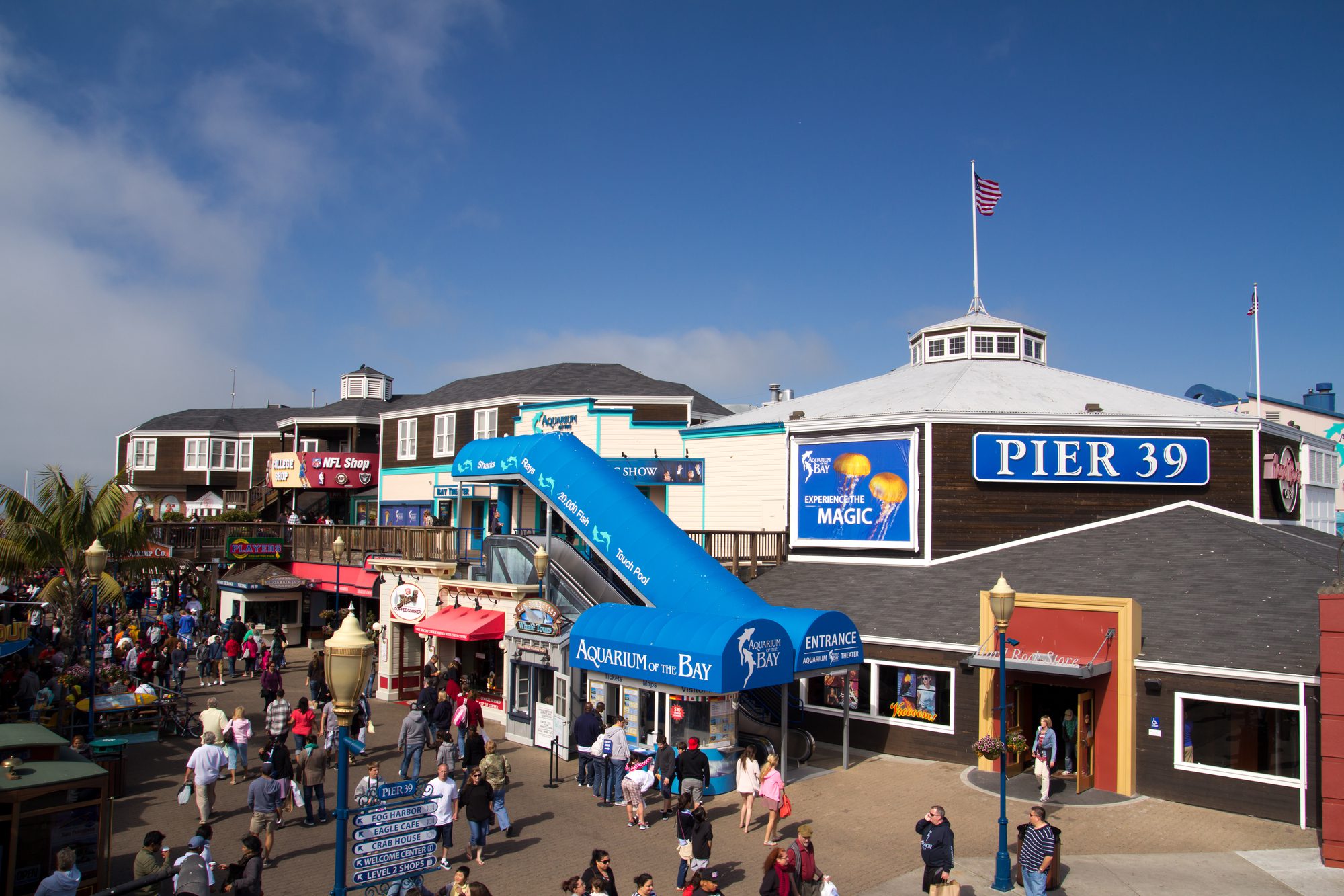 Check out Pier 39, one of many fun things to do in San Francisco