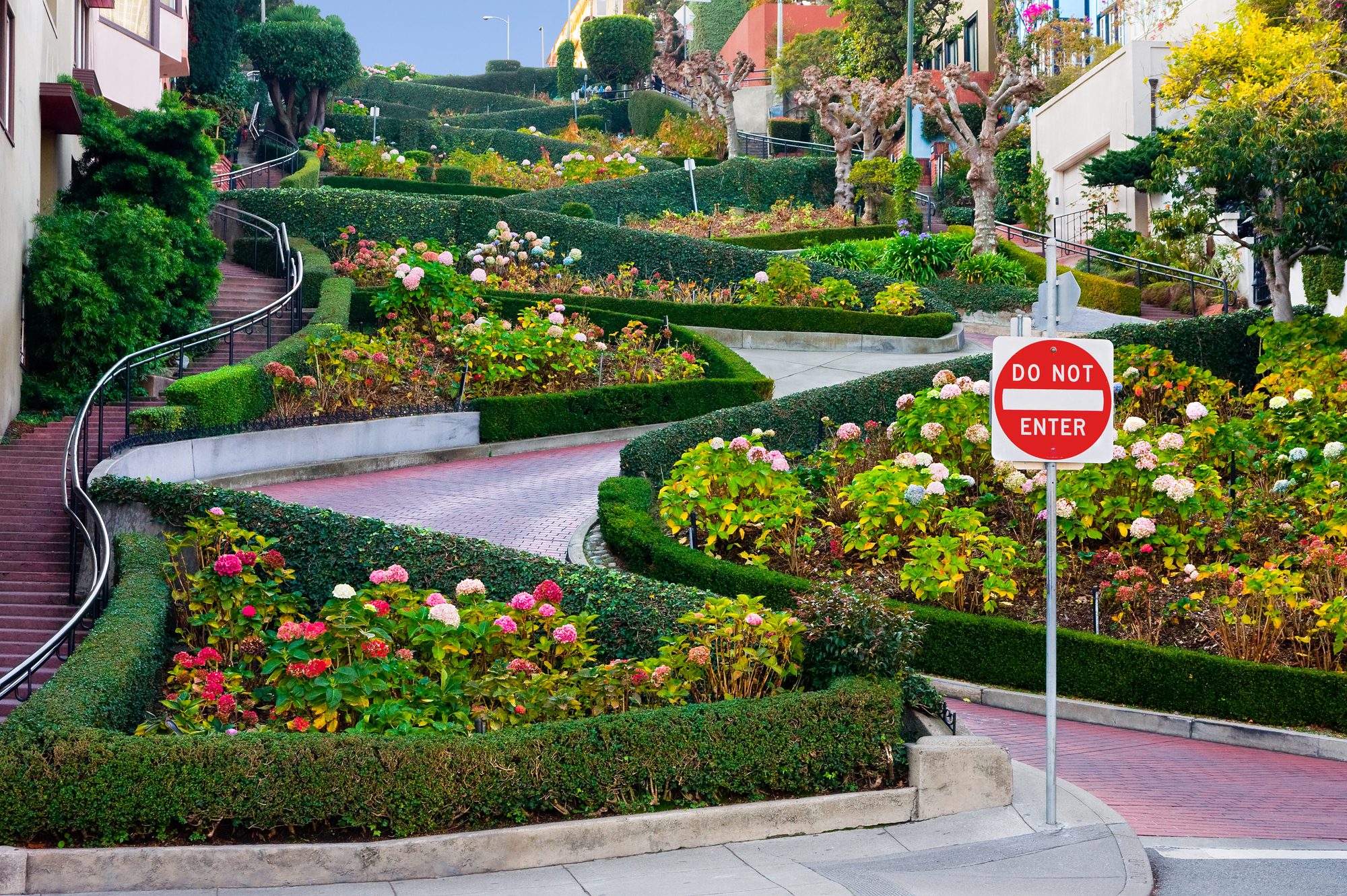 Come visit one of O'Grady Plumbing's favorite local attractions - Lombard Street! The Crookedest Street in the World!