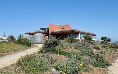 Bayview Uncovered: A Local Plumber’s Top 5 Attractions in This San Francisco Neighborhood