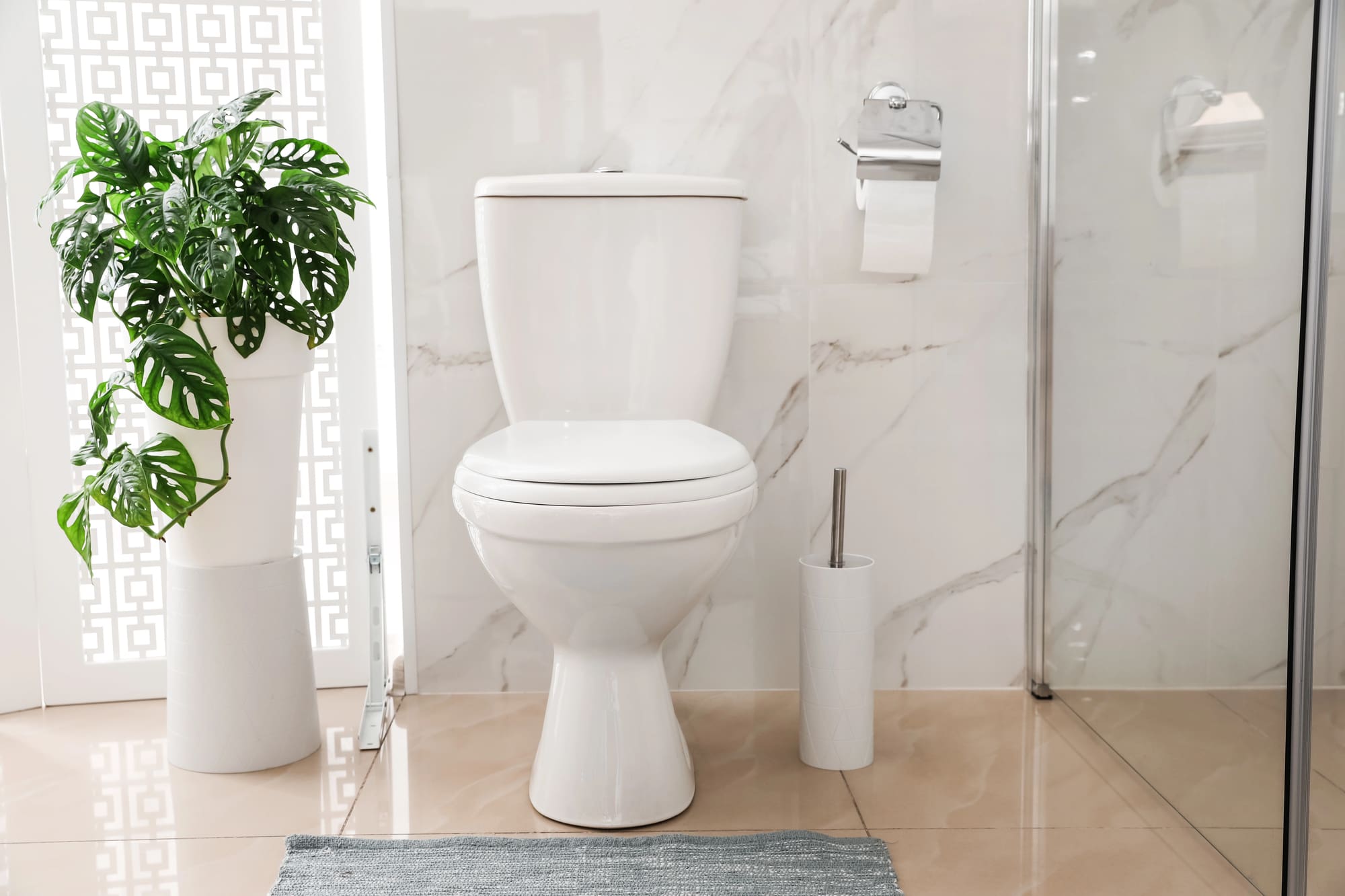 24-hour plumber San Francisco ready with proper tools to clear drains, sewer backups, etc.