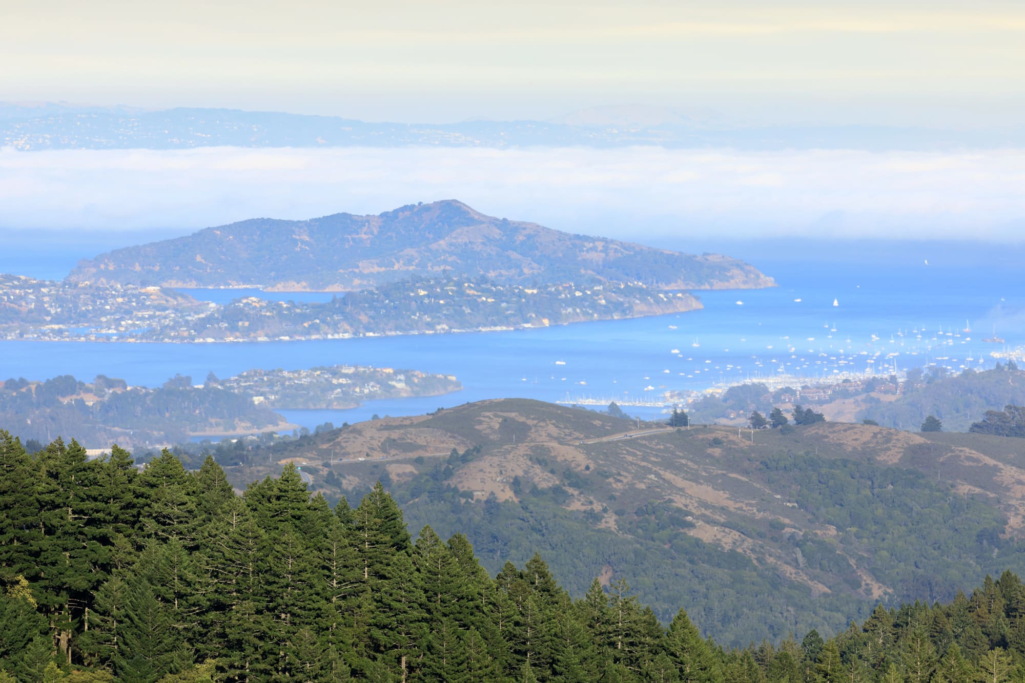 Sump pump installation San Francisco service area: panoramic view of bay with islands and evergreen hillsides